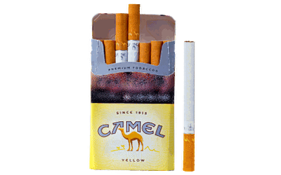 Camel