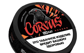 CORVUS