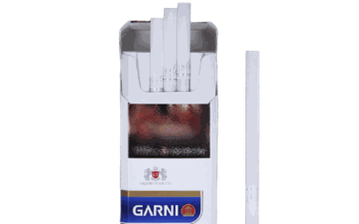 Garni