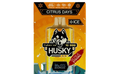 Husky Cyber 2.0 18000