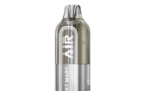 Lost Mary Air 22000