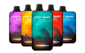LOST MARY