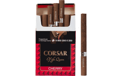 Corsar of the Queen