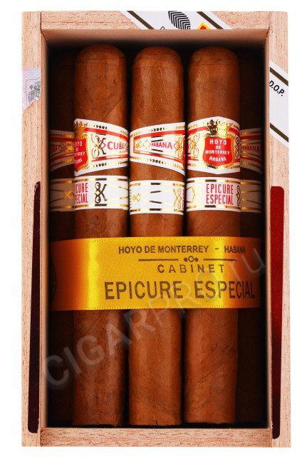 Сигары Hoyo de Monterrey Epicure Especial 10 шт