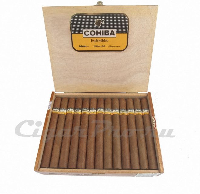 Cohiba Esplendidos Vintage 2005